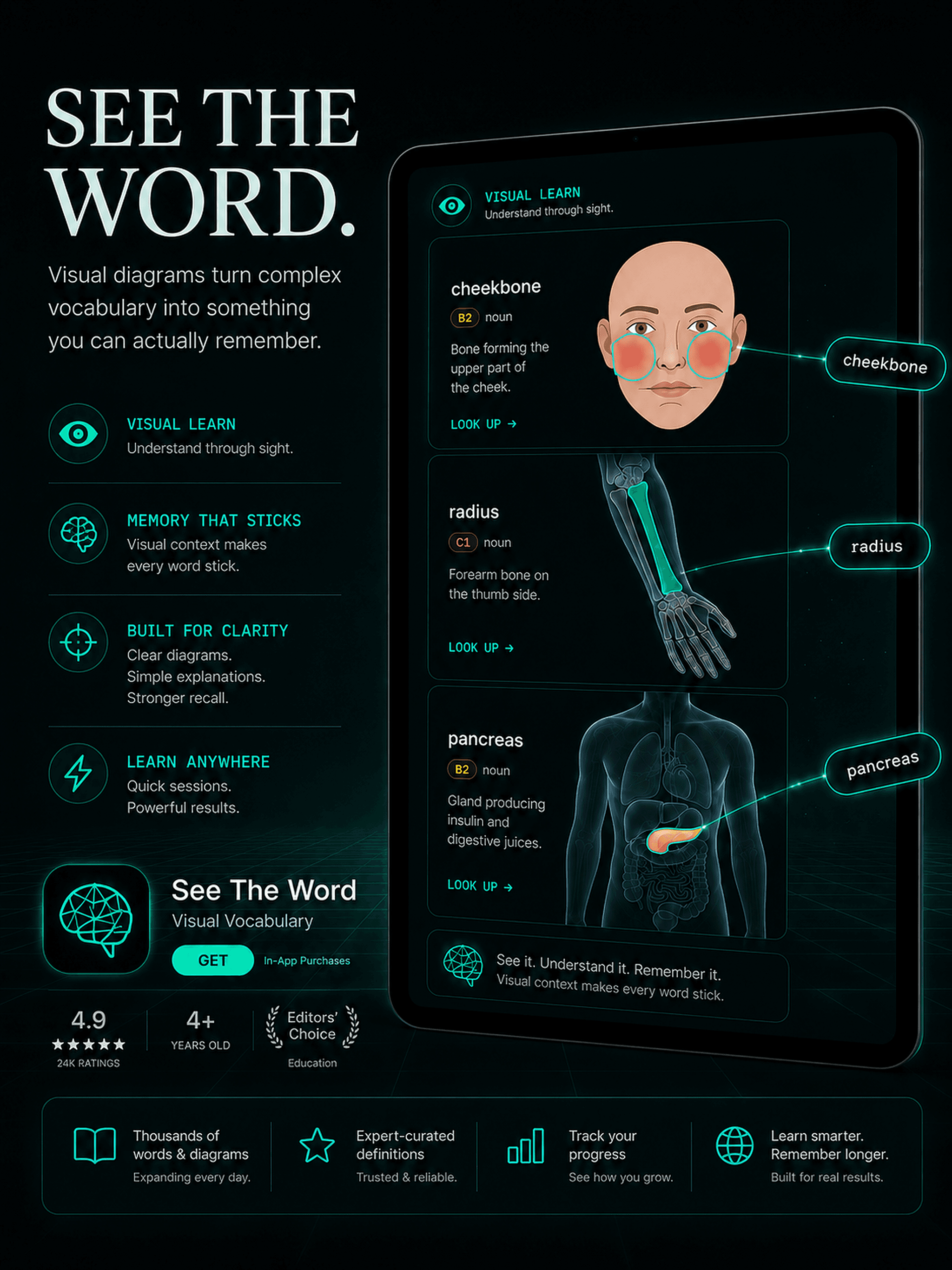 Vocabulary pack image showing visual terms saved into IELTS vocabulary review